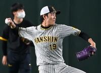 　キャッチボールで調整する藤浪（撮影・田中太一）