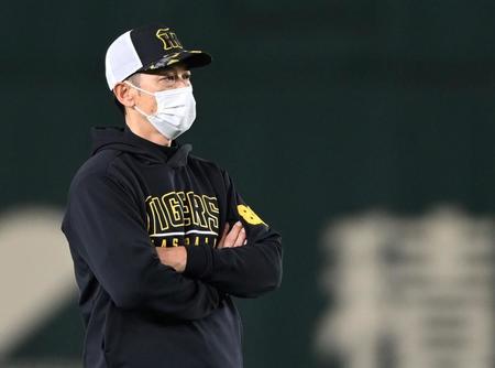 練習を見る矢野監督（撮影・田中太一）