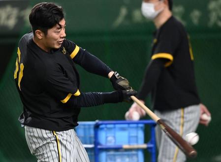 　打撃練習をする豊田（撮影・田中太一）