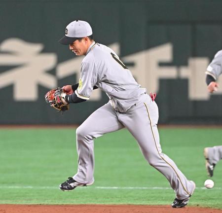 ４回、赤星の打球を二塁手の木浪が捕れずに内野安打となる（撮影・堀内翔）