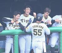 ７回、勝ち越しソロを放った陽川を迎える井上ら阪神ナイン＝鳴尾浜