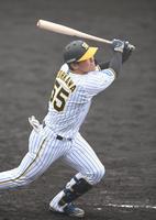 ９回、サヨナラ弾を放つ阪神・陽川尚将＝鳴尾浜（撮影・飯室逸平）