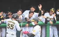 ９回、サヨナラ弾を放った陽川（５５）を迎える井上ら阪神ナイン（撮影・飯室逸平）