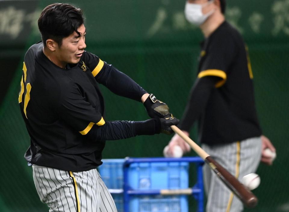 　打撃練習をする豊田（撮影・田中太一）