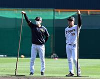 　練習を見守る阪神・矢野監督（左）と井上コーチ（撮影・山口登）