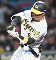 　８回、左前へ安打を放つ阪神・佐藤輝（撮影・田中太一）