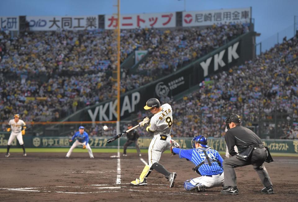 　１回、大観衆で埋まった甲子園で、先制２ランを放つ阪神・佐藤輝（撮影・高部洋祐）