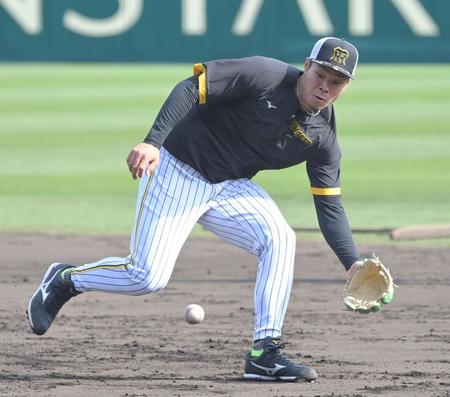 　試合前、セカンドの位置でノックを受ける佐藤輝（撮影・高部洋祐）