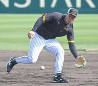 　試合前、セカンドの位置でノックを受ける佐藤輝（撮影・高部洋祐）