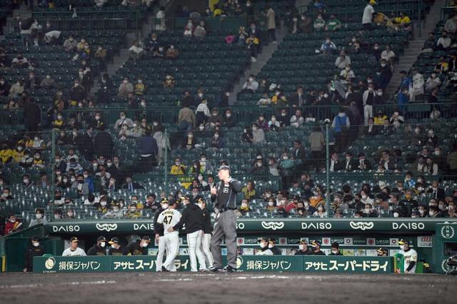 甲子園の観客に異例の注意　客席で多くのファンが携帯ライト点灯