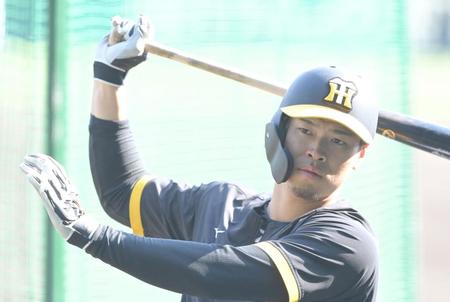 　試合前、バットを振る佐藤輝（撮影・高部洋祐）