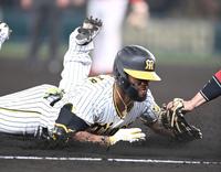  ６回、同点適時打を放ったロハスは三塁を狙うも憤死（撮影・田中太一）