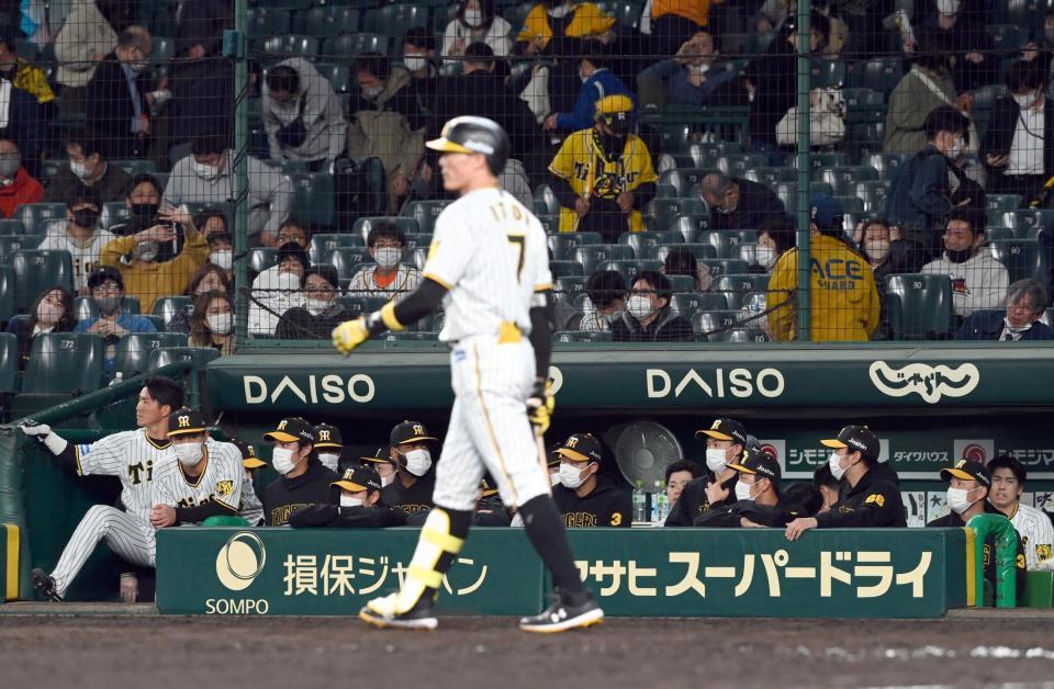 　延長１２回、阪神・糸井（手前）が三振に倒れがっくりするベンチ（撮影・田中太一）