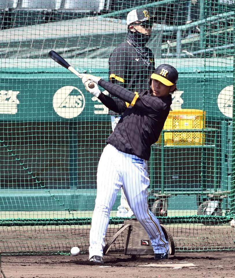 打撃練習する高山（撮影・山口登）