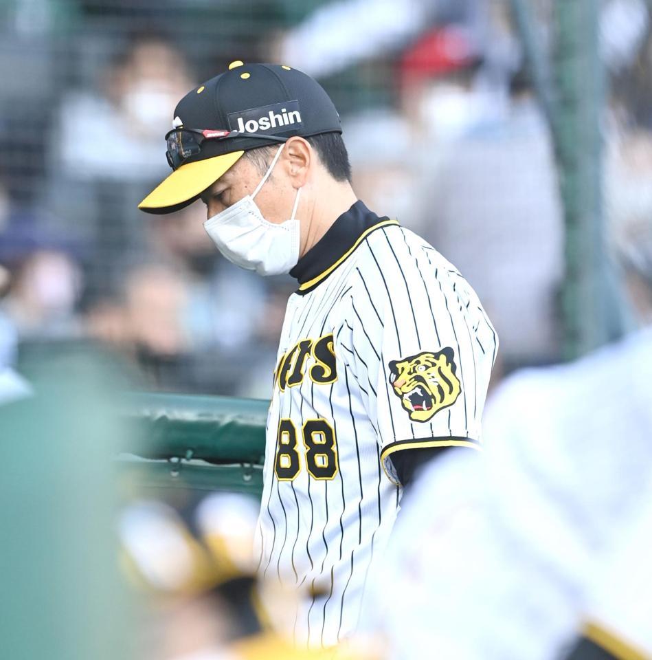 　７回、選手交代を告げ、ベンチへ戻る矢野監督（撮影・飯室逸平）