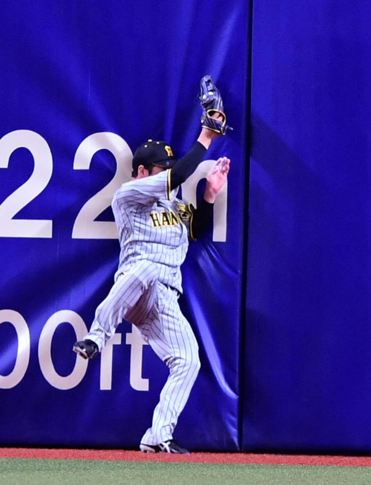 　３回、阪神・近本は中日・ビシエドの打球を好捕する（撮影・山口登）