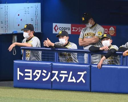 　ベンチから戦況を見守る矢野監督（中央）ら（撮影・飯室逸平）
