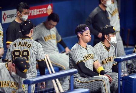 　中日に３連敗を喫し、引き揚げる矢野監督。右はグラウンドを見つめる佐藤輝、高山（撮影・田中太一）