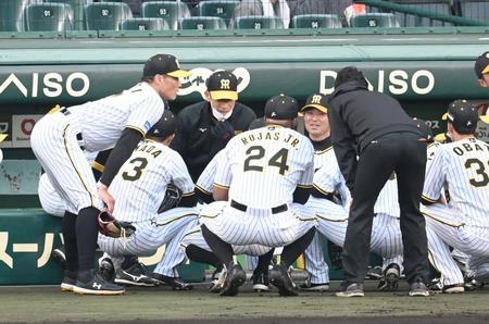 試合前の円陣でナインに声をかける矢野監督（左から３人目）＝撮影・飯室逸平