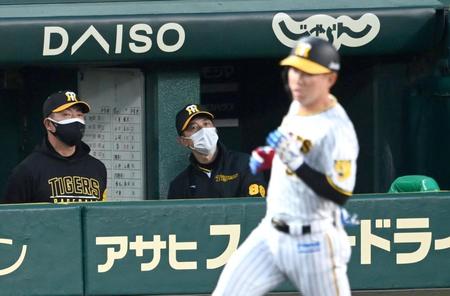 １回、二死満塁を生かせず、ベンチで厳しい表情の矢野監督（撮影・飯室逸平）