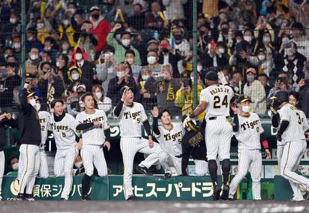 ８回、２ランを放ったロハスを歓喜しながら迎える阪神ベンチ（撮影・田中太一）