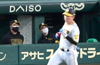 １回、二死満塁を生かせず、ベンチで厳しい表情の矢野監督（撮影・飯室逸平）