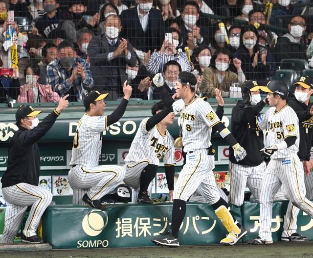 7月11日 阪神vs巨人 アイビーシート2枚 - スポーツ