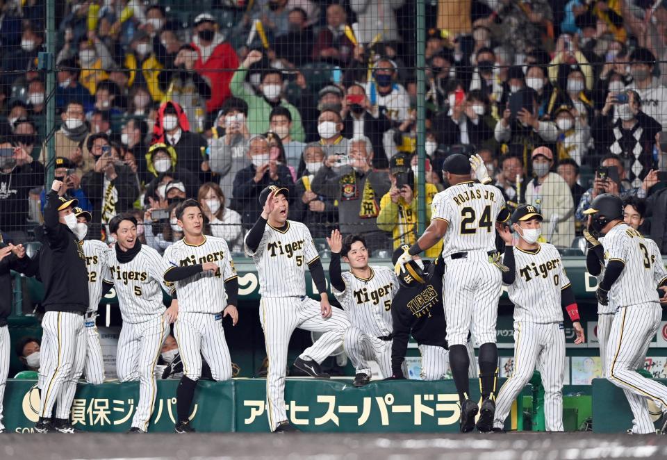 ８回、２ランを放ったロハスを歓喜しながら迎える阪神ベンチ（撮影・田中太一）