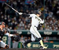 　５回、右越えに逆転２ランを放つ佐藤輝（撮影・山口登）