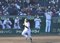 　４回、大山の適時打にわく阪神ベンチ（撮影・神子素慎一）