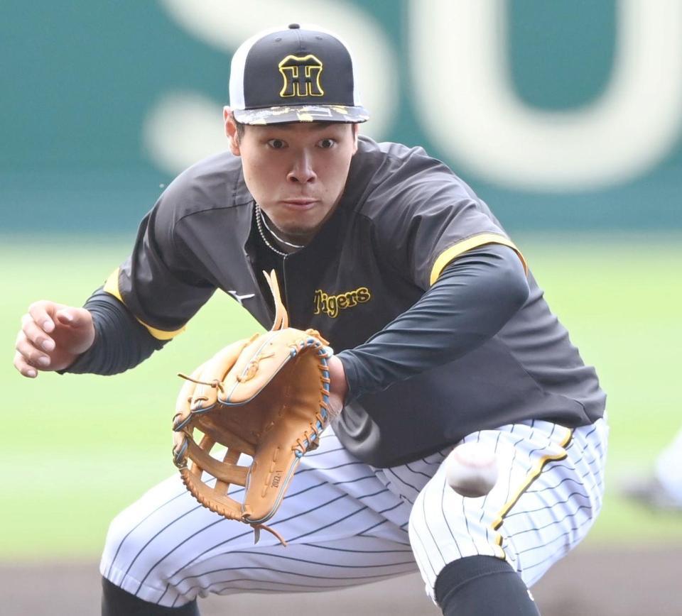 　三塁でノックを受ける佐藤輝（撮影・田中太一）