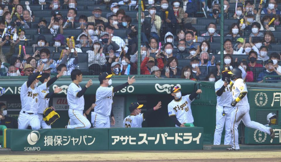 ３回、先制にわく阪神ベンチ（撮影・神子素慎一）