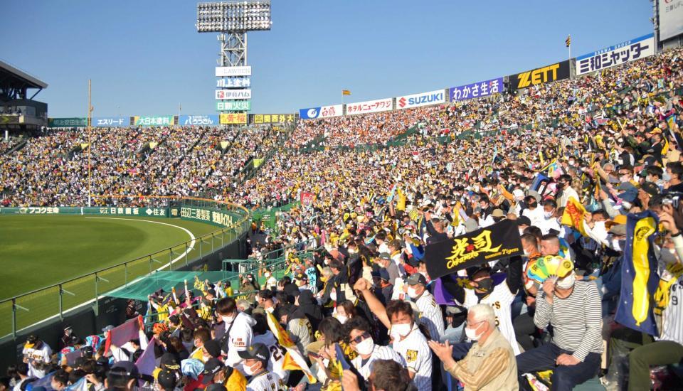 　多くの阪神ファンでにぎわう甲子園球場（撮影・神子素慎一）