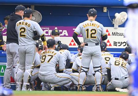 　試合前に円陣を組む阪神ナイン（撮影・堀内翔）