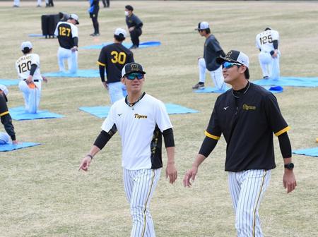 　別メニューで調整する藤浪（右）と伊藤将（撮影・田中太一）
