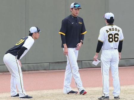 　練習前、（右から）安藤コーチと話をする藤浪、伊藤将（撮影・田中太一）