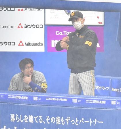 　降雨中断中、ベンチで梅野（左）に打撃指導する矢野監督（撮影・西岡正）