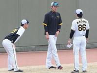 　練習前、（右から）安藤コーチと話をする藤浪、伊藤将（撮影・田中太一）