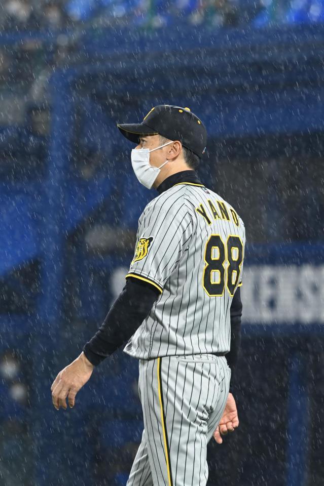 　雨の中、選手交代を告げるためベンチを出る矢野監督（撮影・飯室逸平）