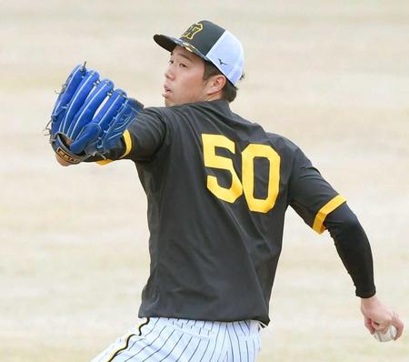 　キャッチボールで調整する青柳（撮影・田中太一）