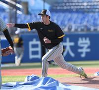 マウンドを確かめる青柳（撮影・金田祐二）