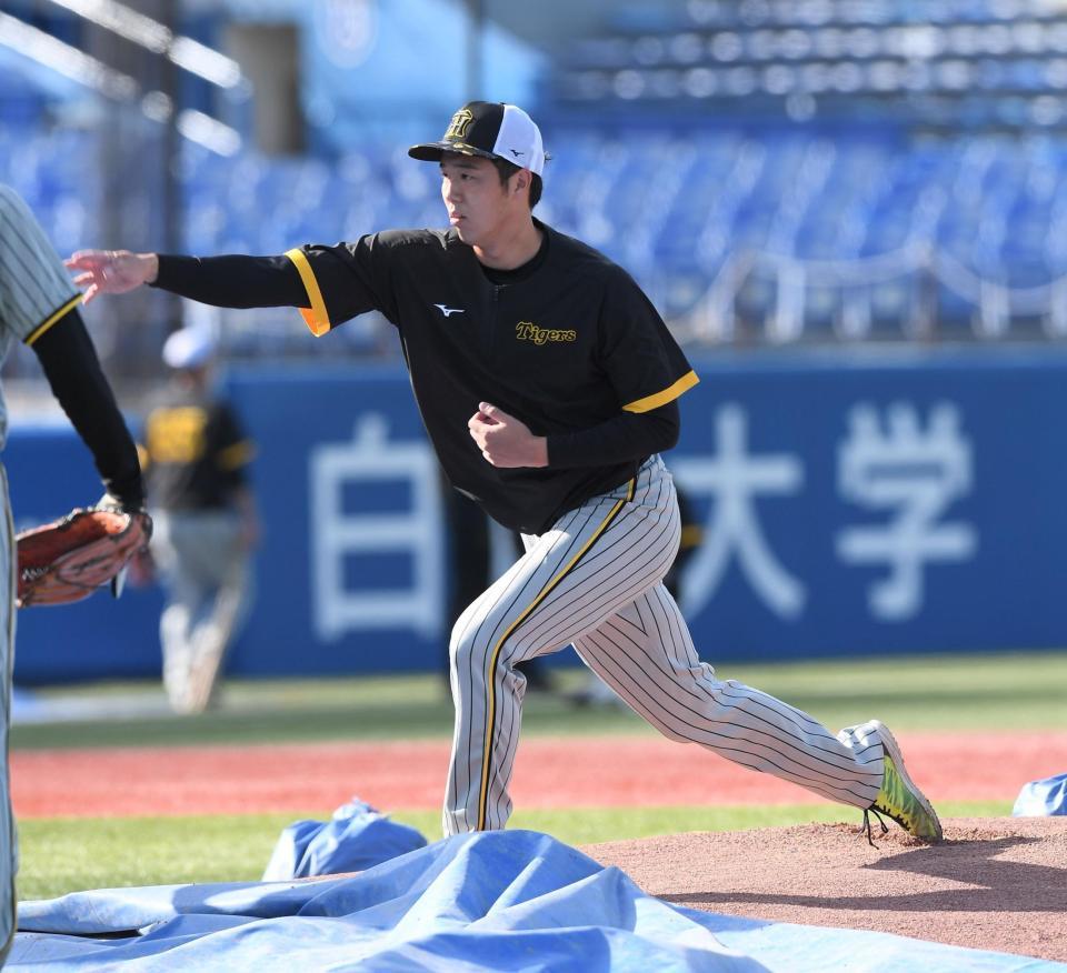 マウンドを確かめる青柳（撮影・金田祐二）