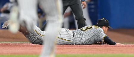 　７回、長岡の打球を好捕する大山（撮影・飯室逸平）