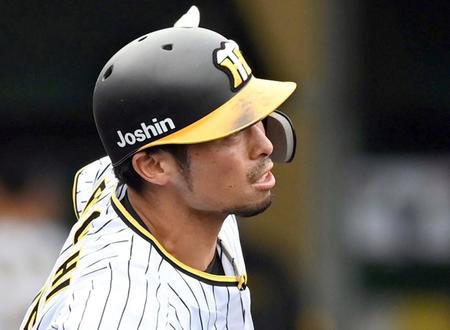 阪神・江越大賀