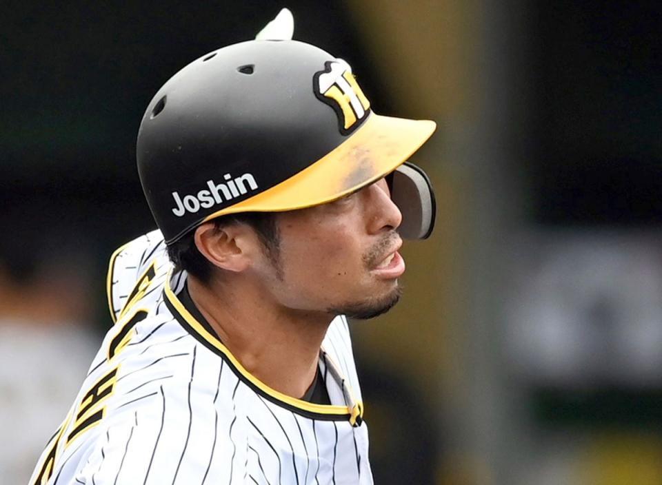 阪神・江越大賀