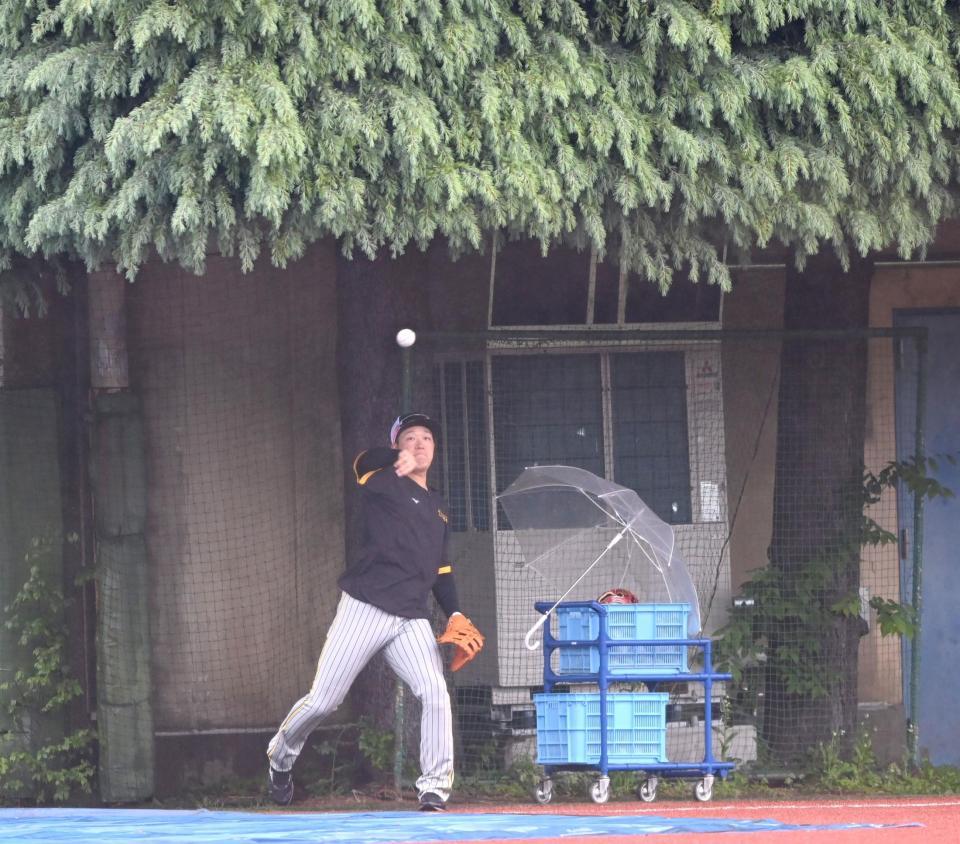 　木陰で雨をしのぎ、キャッチボールする大山（撮影・飯室逸平）