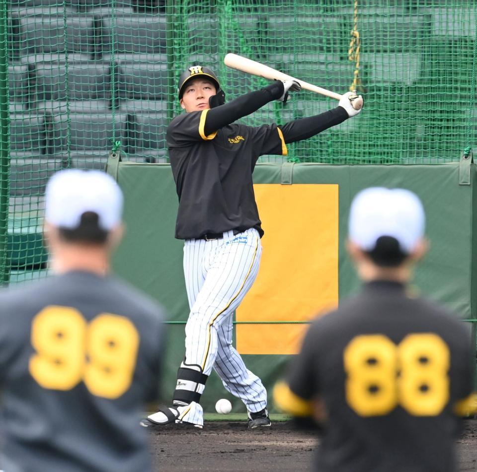 　矢野監督（８８）、井上ヘッドコーチ（９９）が見守る中、打撃練習する大山（撮影・飯室逸平）