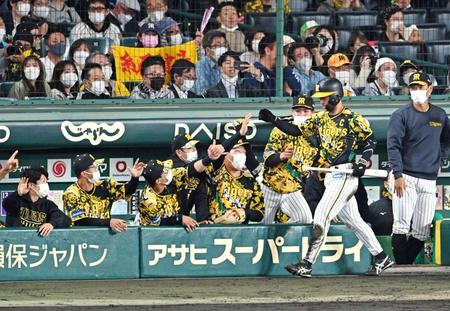 　５回、追加点に沸く阪神ベンチ（撮影・飯室逸平）