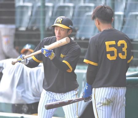 　試合前、島田（右）にバントのアドバイスを送る近本（撮影・高部洋祐）