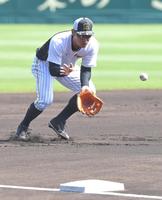 　試合前、サードのポジションでノックを受ける原口（撮影・高部洋祐）